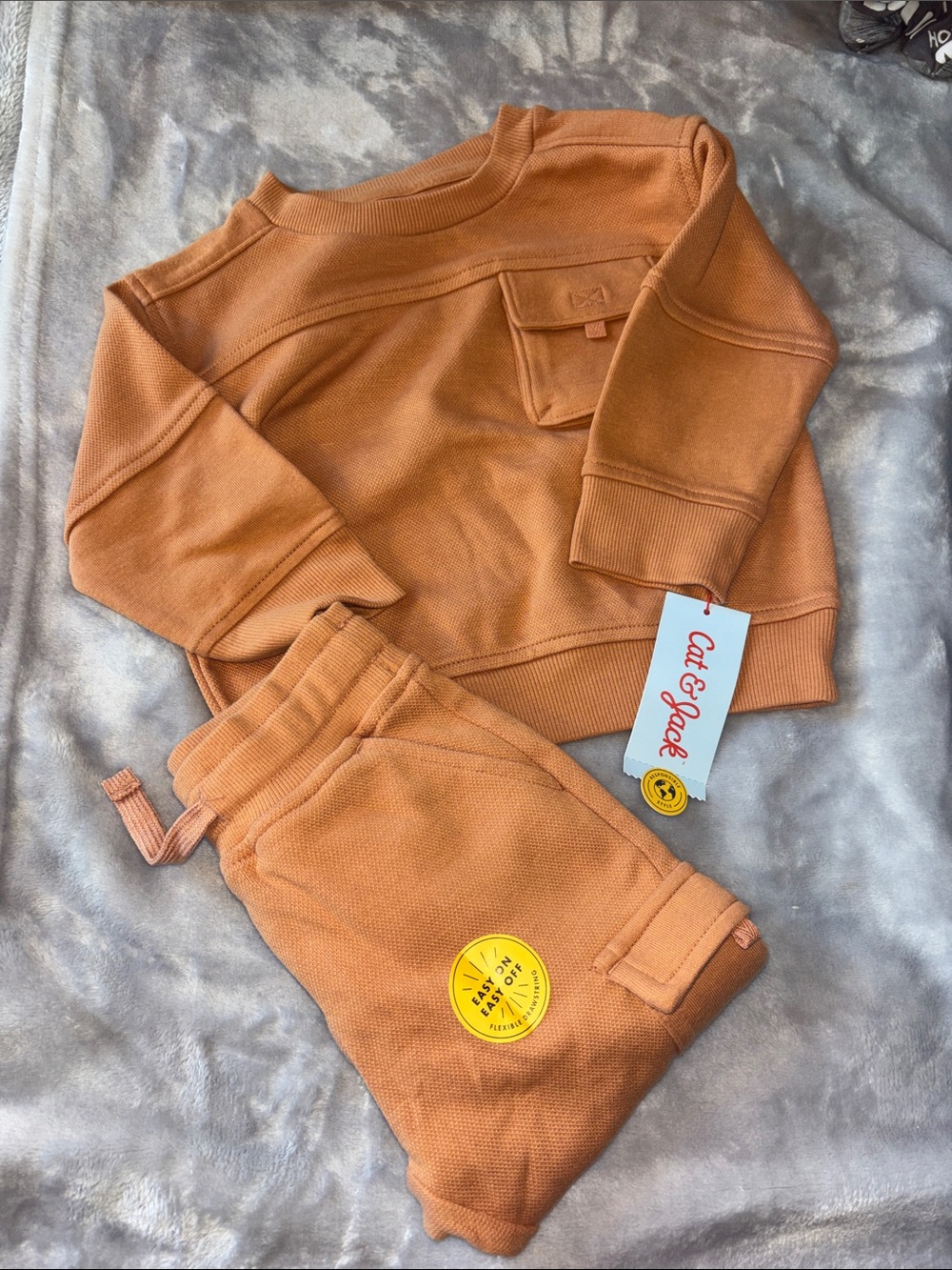 Cat & Jack Rust Orange Sweatshirt & Joggers Set